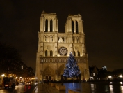 Paris_2012_0008