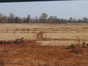 Senmonorom - Banlung: Lumphat, gerodetes Gebiet für Landwirtschaft