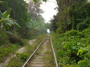 Battambang: Bamboo Train